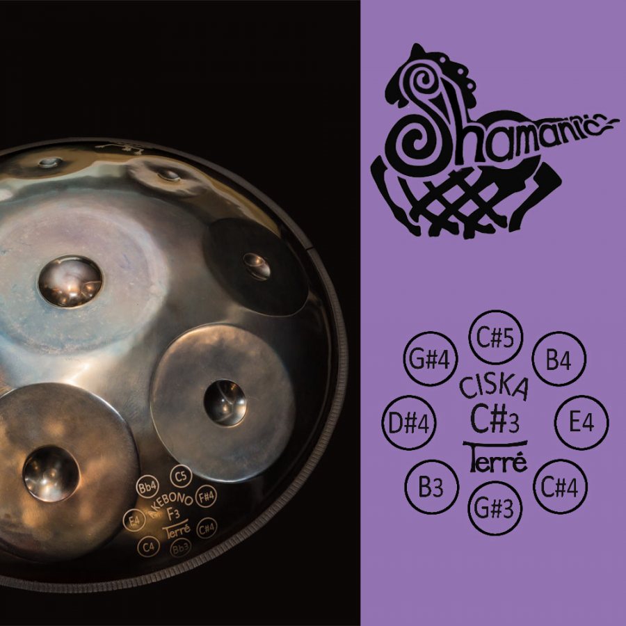 Shamanic Handpans